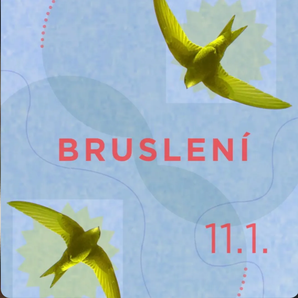 Bruslení