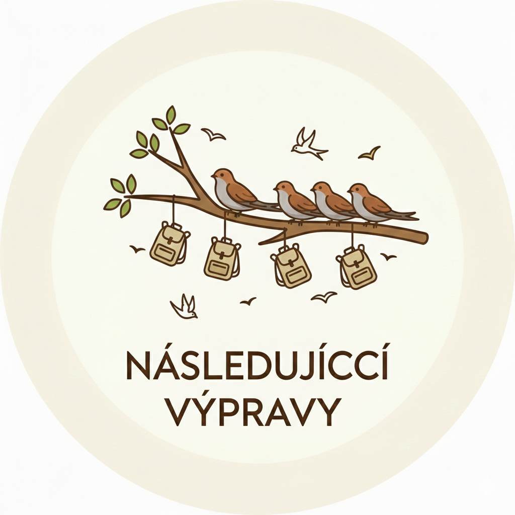 Následující výpravy