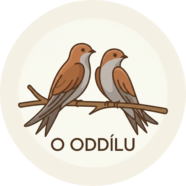 O oddílu